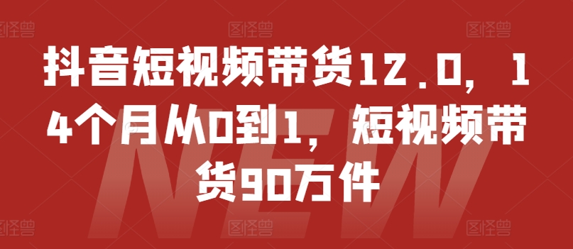 抖音短视频带货12.0，14个月从0到1，短视频带货90万件-火柴小市场