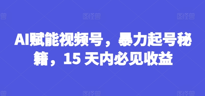 AI赋能视频号，暴力起号秘籍，15 天内必见收益【揭秘】-火柴小市场