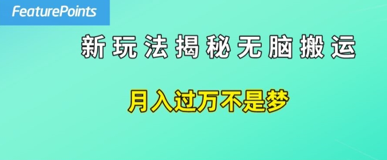简单操作，每天50美元收入，搬运就是赚钱的秘诀【揭秘】-火柴小市场