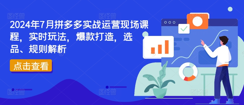 2024年7月拼多多实战运营现场课程，实时玩法，爆款打造，选品、规则解析-火柴小市场