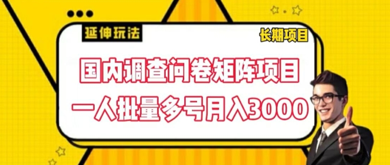 国内调查问卷矩阵项目，一人批量多号月入3000【揭秘】-火柴小市场