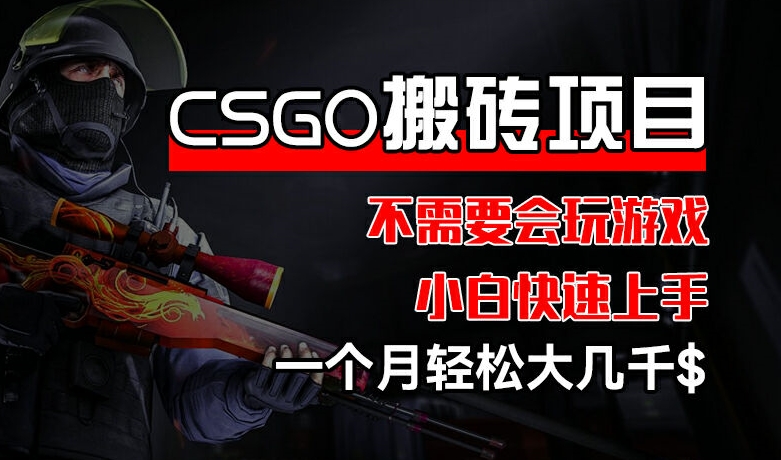 CSGO 装备搬砖项目，操作简单，不需要会玩游戏，小白也能快速上手，一个月轻松大几千【揭秘】-火柴小市场