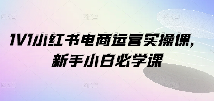 1V1小红书电商运营实操课，新手小白必学课-火柴小市场