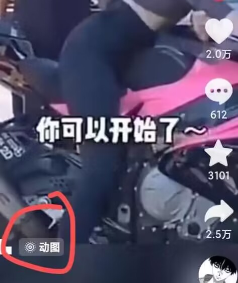 2024年7月苹果手机动图搬运技术-火柴小市场