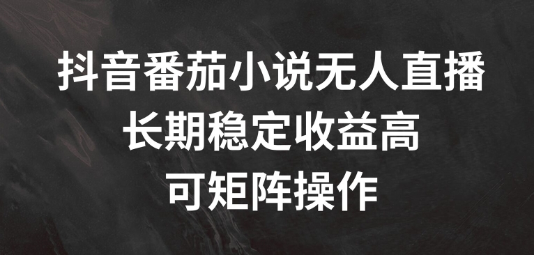 抖音番茄小说无人直播，长期稳定收益高，可矩阵操作【揭秘】-火柴小市场
