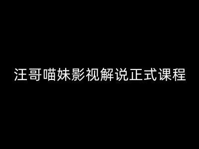 汪哥影视解说正式课程：剪映/PR教学/视解说剪辑5大黄金法则/全流程剪辑7把利器等等-火柴小市场