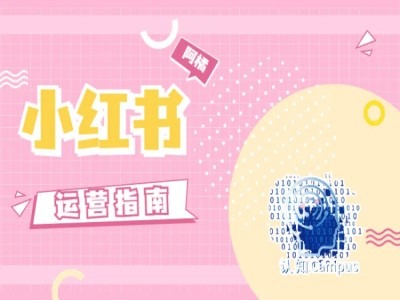 小红书运营指南，没有套路，全是经验-火柴小市场