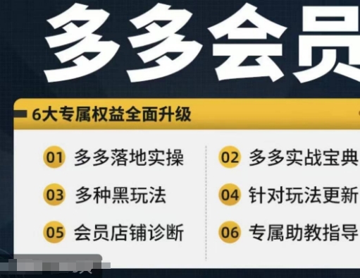 拼多多会员，拼多多实战宝典+实战落地实操，从新手到高阶内容全面覆盖-火柴小市场