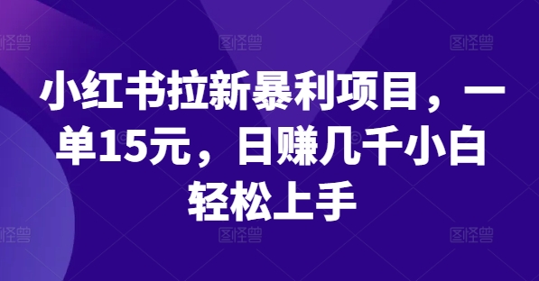 小红书拉新暴利项目，一单15元，日赚几千小白轻松上手【揭秘】-火柴小市场