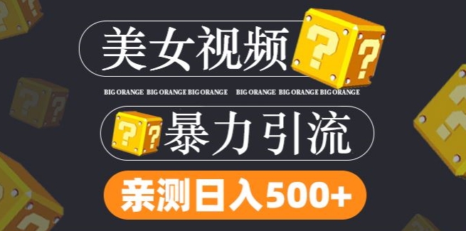搬运tk美女视频全网分发，日引s粉300+，轻松变现，不限流量不封号【揭秘】-火柴小市场