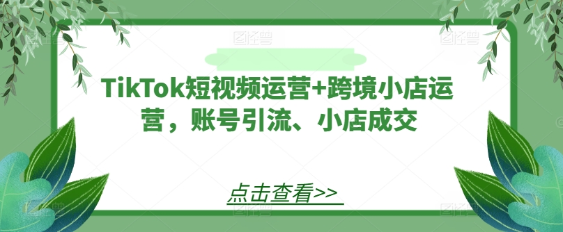 TikTok短视频运营+跨境小店运营，账号引流、小店成交-火柴小市场