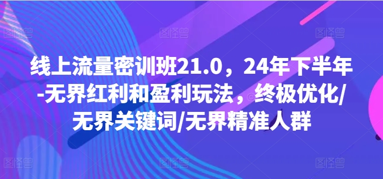 线上流量密训班21.0，24年下半年-无界红利和盈利玩法，终极优化/无界关键词/无界精准人群-火柴小市场
