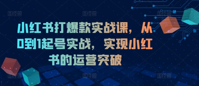 小红书打爆款实战课，从0到1起号实战，实现小红书的运营突破-火柴小市场