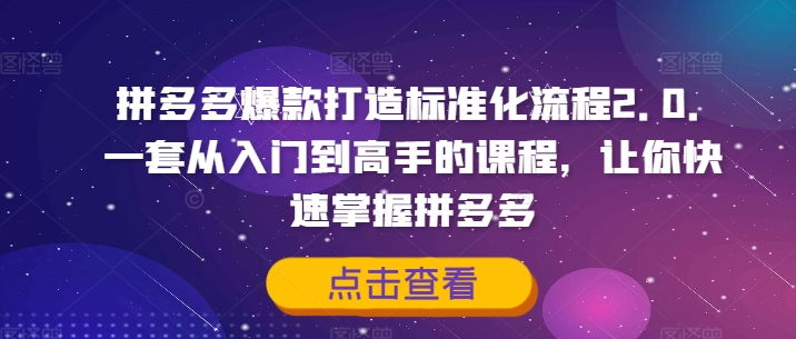 拼多多爆款打造标准化流程2.0，一套从入门到高手的课程，让你快速掌握拼多多-火柴小市场