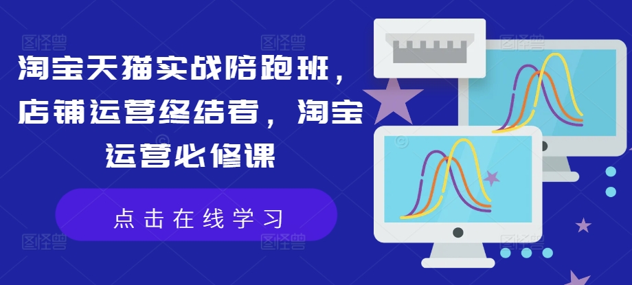 淘宝天猫实战陪跑班，店铺运营终结者，淘宝运营必修课-火柴小市场