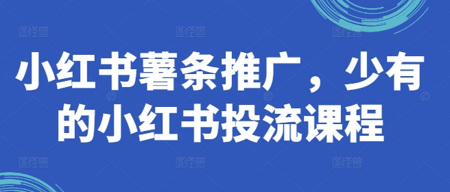 小红书薯条推广，少有的小红书投流课程-火柴小市场