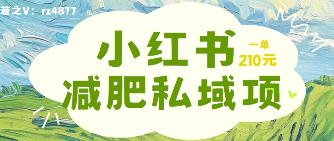 小红书减肥粉，私域变现项目，一单就达210元，小白也能轻松上手【揭秘】-火柴小市场