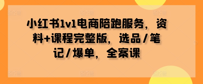小红书1v1电商陪跑服务，资料+课程完整版，选品/笔记/爆单，全案课-火柴小市场