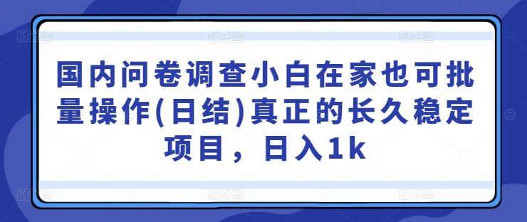 国内问卷调查小白在家也可批量操作(日结)真正的长久稳定项目，日入1k【揭秘】-火柴小市场