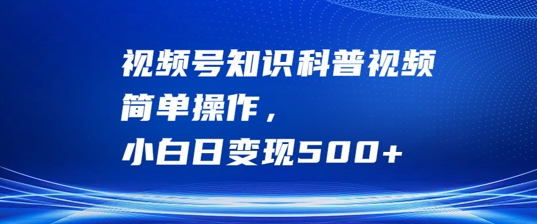 视频号知识科普视频，简单操作，小白日变现500+【揭秘】-火柴小市场