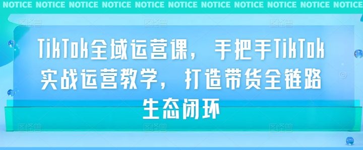 TikTok全域运营课，手把手TikTok实战运营教学，打造带货全链路生态闭环-火柴小市场