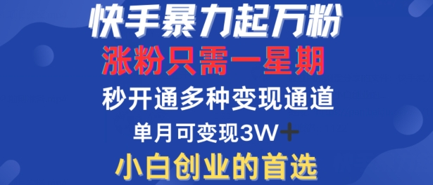 快手暴力起万粉，涨粉只需一星期，多种变现模式，直接秒开万合，单月变现过W【揭秘】-火柴小市场