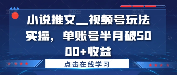 小说推文—视频号玩法实操，单账号半月破5000+收益-火柴小市场