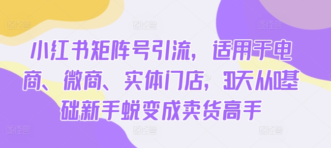 小红书矩阵号引流，适用于电商、微商、实体门店，30天从0基础新手蜕变成卖货高手-火柴小市场