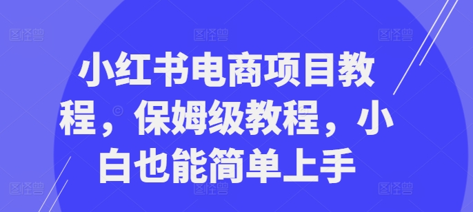 小红书电商项目教程，保姆级教程，小白也能简单上手-火柴小市场