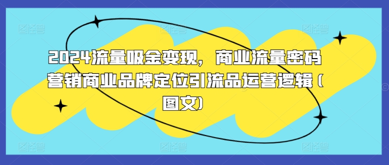 2024流量吸金变现，商业流量密码营销商业品牌定位引流品运营逻辑(图文)-火柴小市场