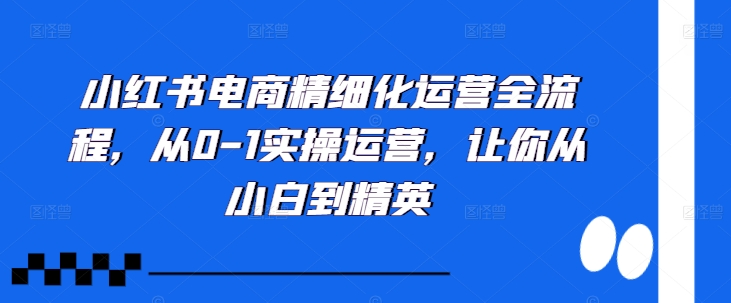 小红书电商精细化运营全流程，从0-1实操运营，让你从小白到精英-火柴小市场