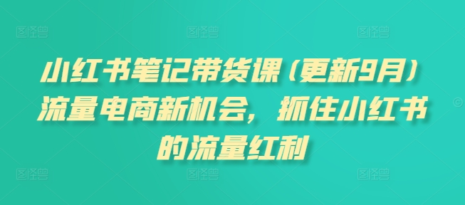 小红书笔记带货课(更新11月)流量电商新机会，抓住小红书的流量红利-火柴小市场
