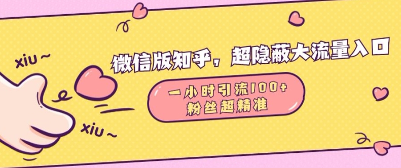 微信版知乎，超隐蔽流量入口1小时引流100人，粉丝质量超高【揭秘】-火柴小市场