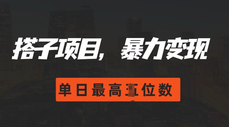 2024搭子玩法，0门槛，暴力变现，单日最高破四位数【揭秘】-火柴小市场