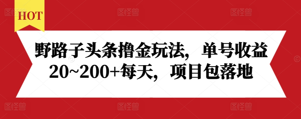 野路子头条撸金玩法，单号收益20~200+每天，项目包落地-火柴小市场