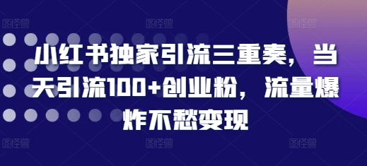 小红书独家引流三重奏，当天引流100+创业粉，流量爆炸不愁变现【揭秘】-火柴小市场