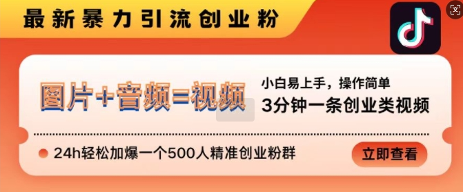 抖音最新暴力引流创业粉，3分钟一条创业类视频，24h轻松加爆一个500人精准创业粉群【揭秘】-火柴小市场