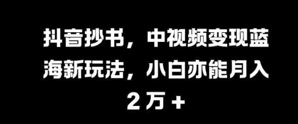 抖音抄书，中视频变现蓝海新玩法，小白亦能月入 过W【揭秘】-火柴小市场