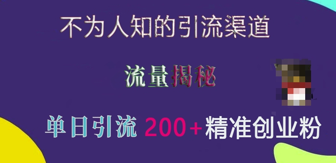 不为人知的引流渠道，流量揭秘，实测单日引流200+精准创业粉【揭秘】-火柴小市场
