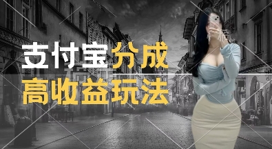 支付宝分成计划新玩法，利用交通事故视频，赚收益，轻松月入过W，操作简单【揭秘】-火柴小市场