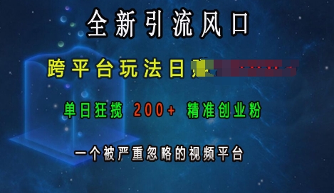 全新引流风口，跨平台玩法日入上k，单日狂揽200+精准创业粉，一个被严重忽略的视频平台-火柴小市场
