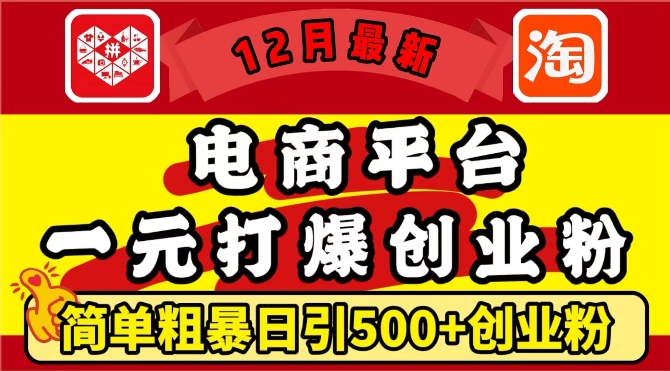 12月最新：电商平台1元打爆创业粉，简单粗暴日引500+精准创业粉，轻松月入过W【揭秘】-火柴小市场