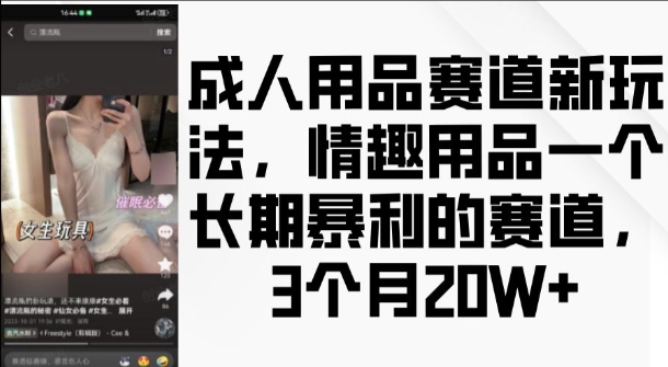 成人用品赛道新玩法，情趣用品一个长期暴利的赛道，3个月收益20个【揭秘】-火柴小市场
