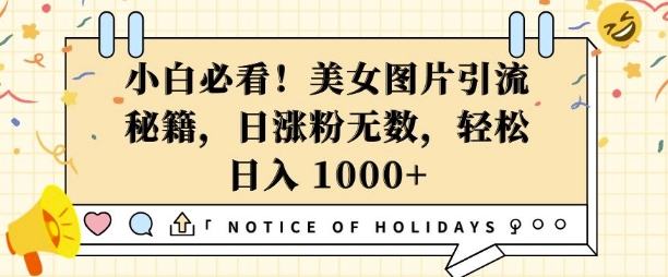 小白必看，美女图片引流秘籍，日涨粉无数，轻松日入几张【揭秘】-火柴小市场