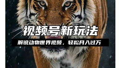 利用动物世界解说视频，赚分成计划收益，轻松月入过W，操作简单【揭秘】-火柴小市场