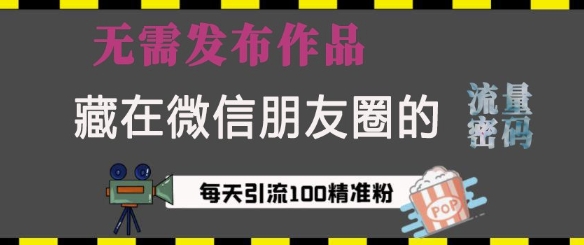 藏在微信朋友圈的流量密码，无需发布作品，单日引流100+精准创业粉【揭秘】-火柴小市场