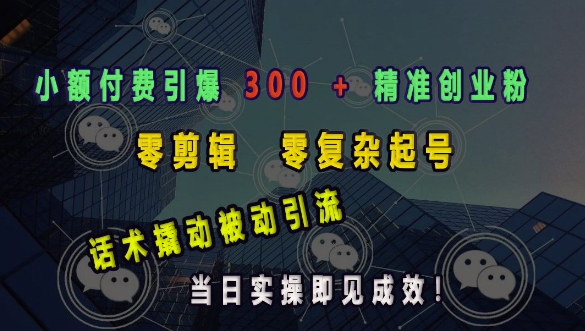 小额付费引爆 300 + 精准创业粉，零剪辑、零复杂起号，话术撬动被动引流，当日实操即见成效-火柴小市场
