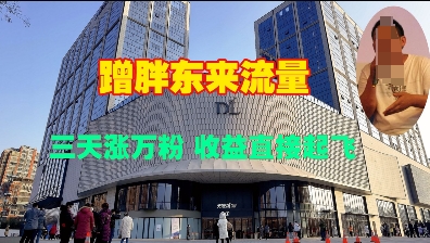 蹭胖东来流量，三天涨万粉，收益直接起飞-火柴小市场