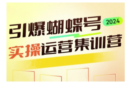 引爆蝴蝶号实操运营，助力你深度掌握蝴蝶号运营，实现高效实操，开启流量变现之路-火柴小市场