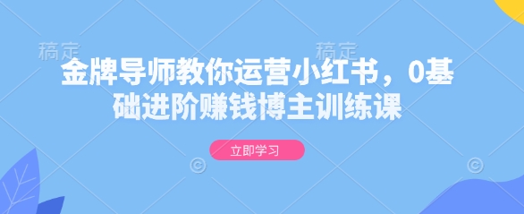 金牌导师教你运营小红书，0基础进阶赚钱博主训练课-火柴小市场
